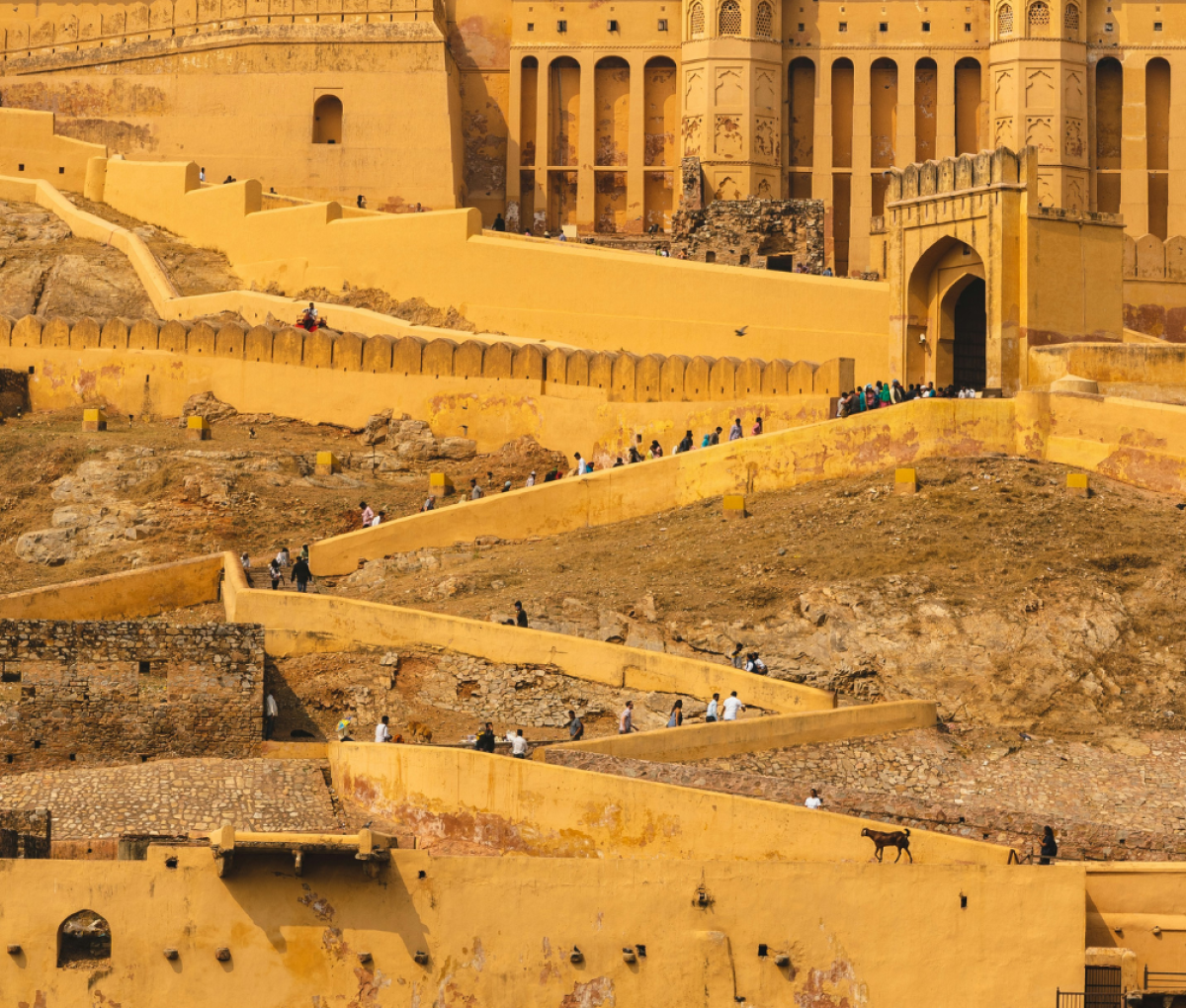 Amber Fort, Jaipur