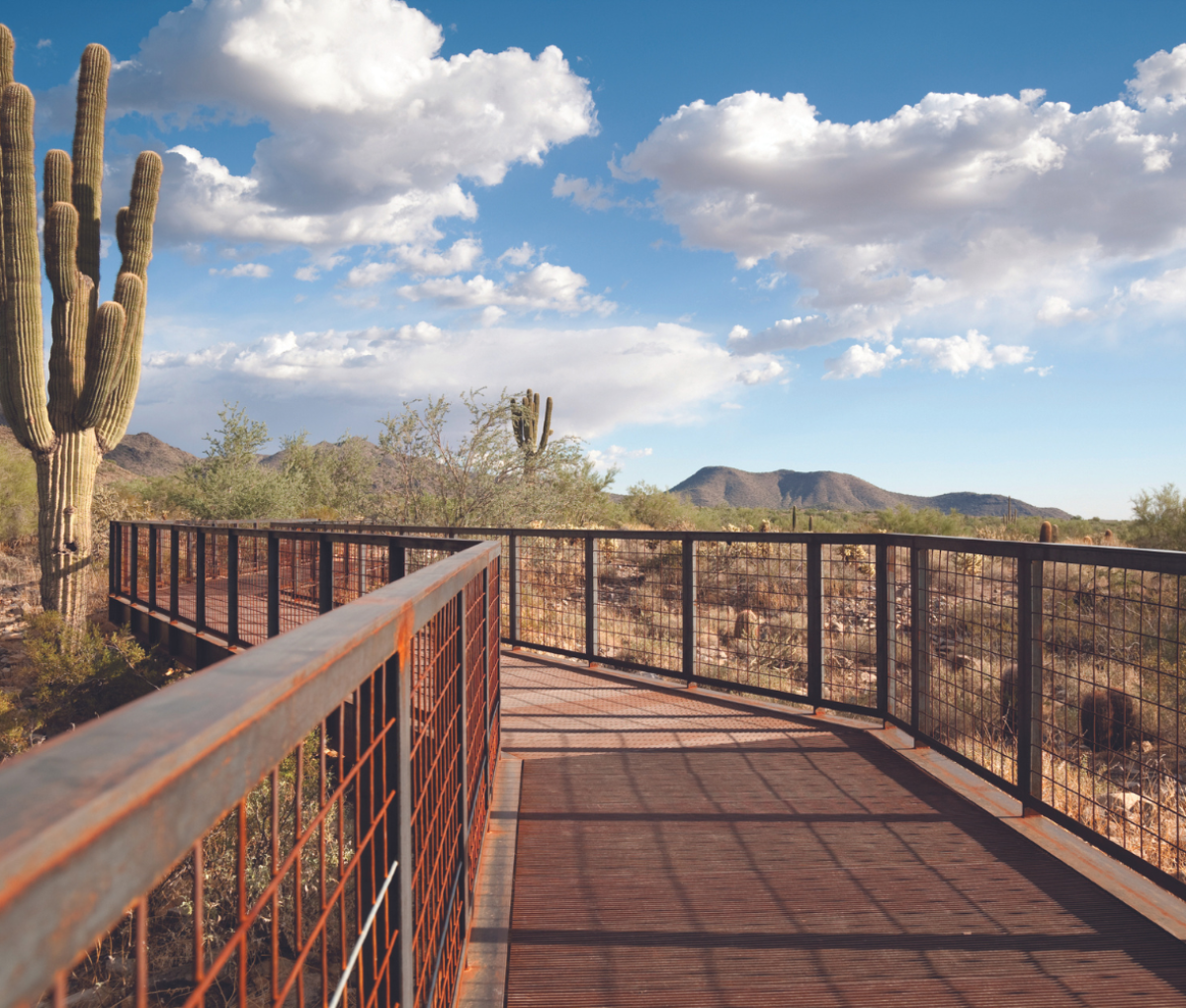 A boardwalk in Scottsdale, Arizona