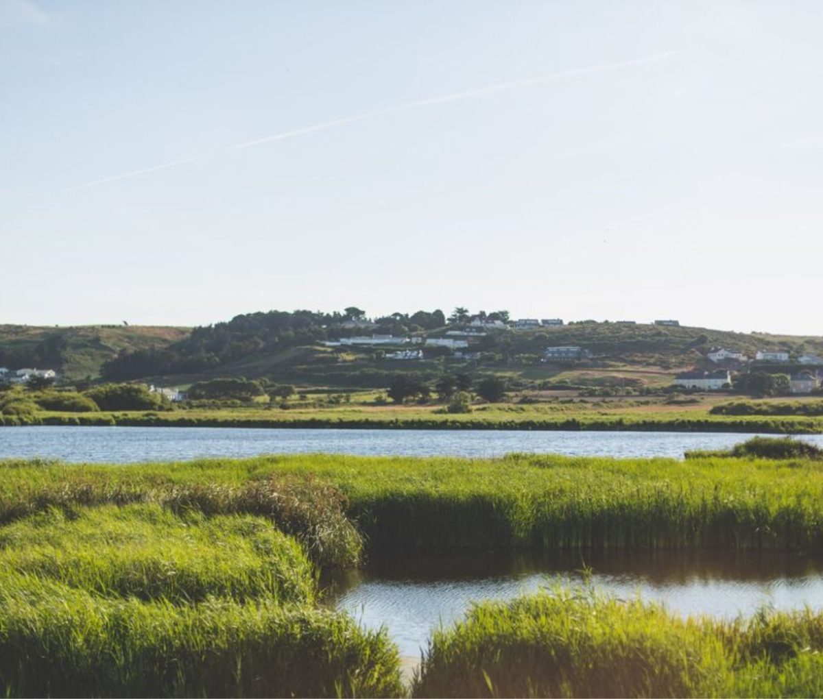 St. Ouens Pond and wetlands, St. Ouens Bay, Jersey