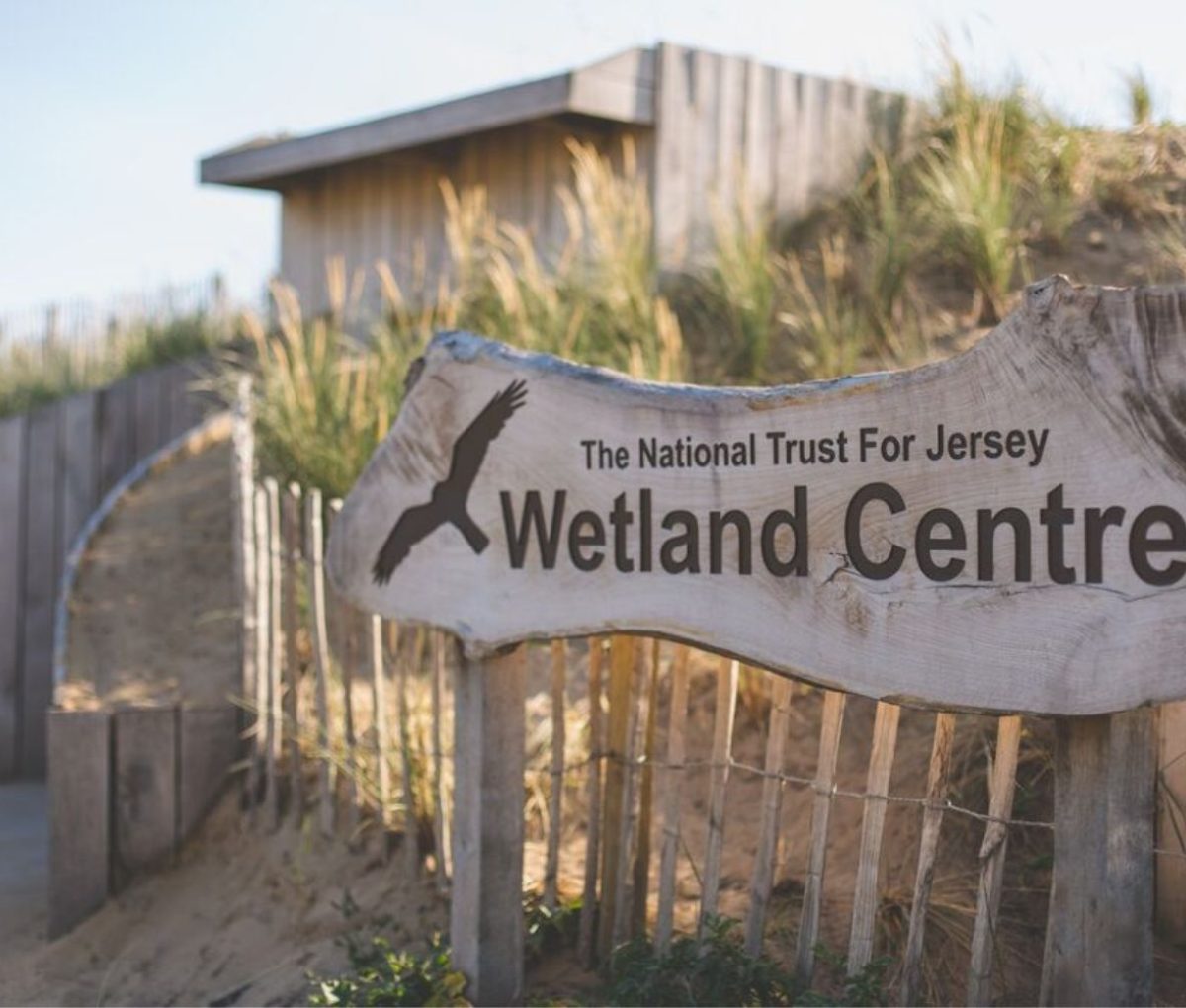 The National Trust for Jersey Wetland Centre, Jersey