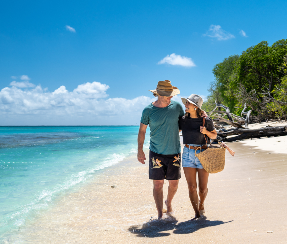 Lady Musgrave Island