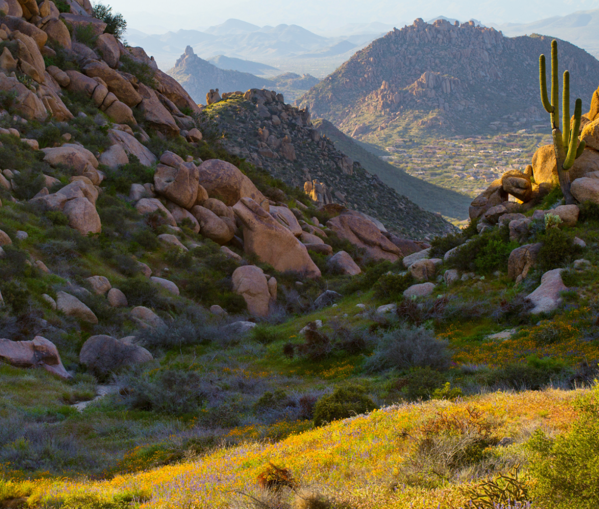 A mountain in Scottsdale, Arizona