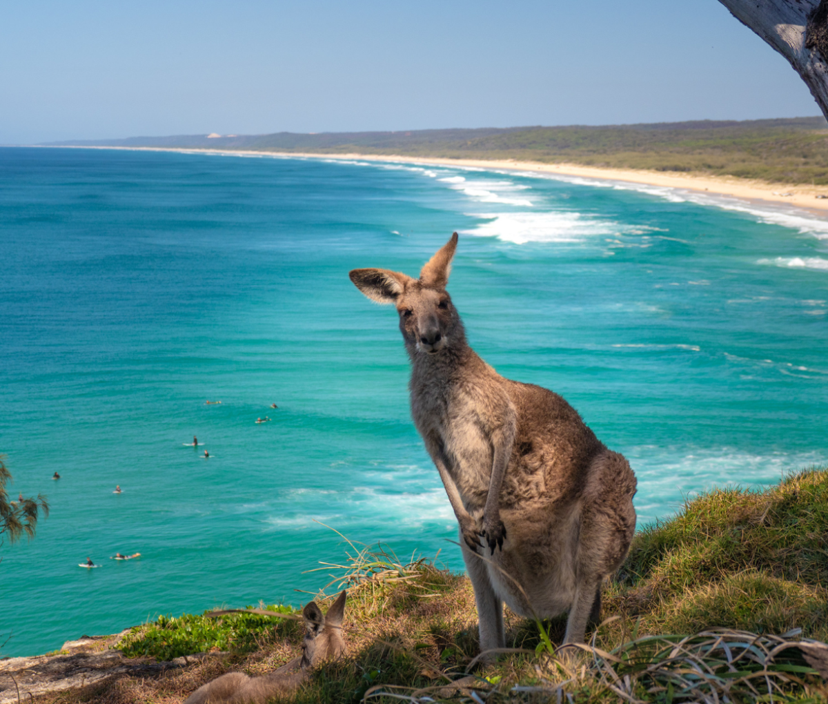 North Gorge Walk