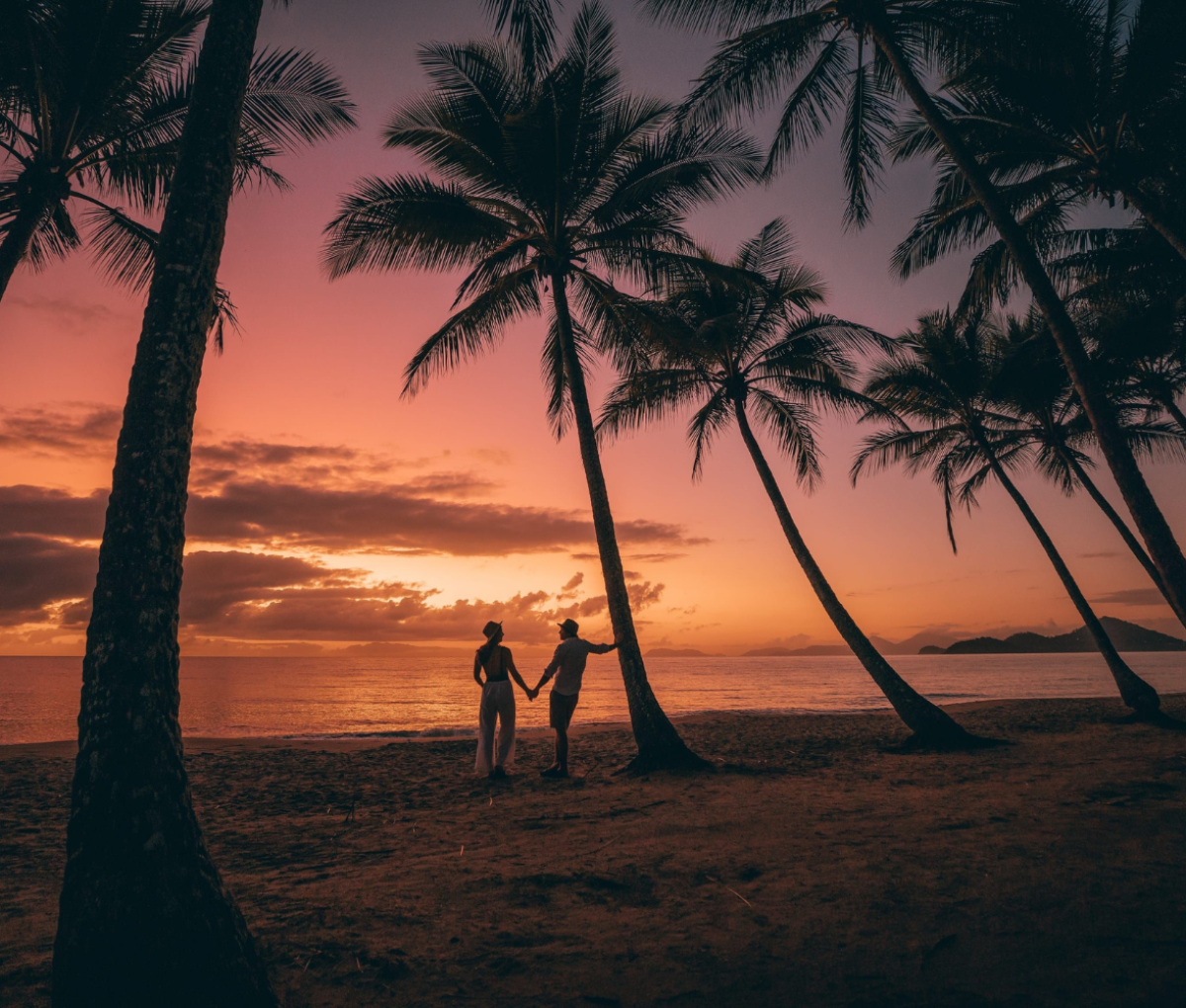 Couple walking under the coconut palms at sunset