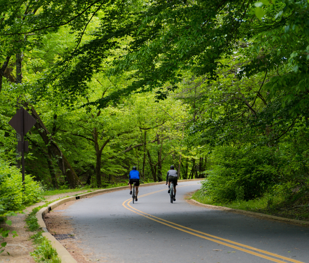 Rock Creek Park, Washington, DC