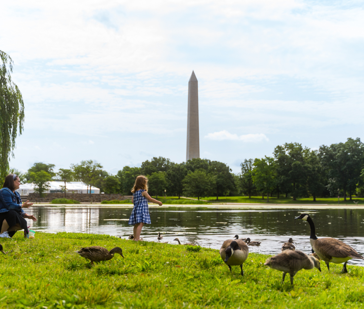 Signers Island, Washington, DC