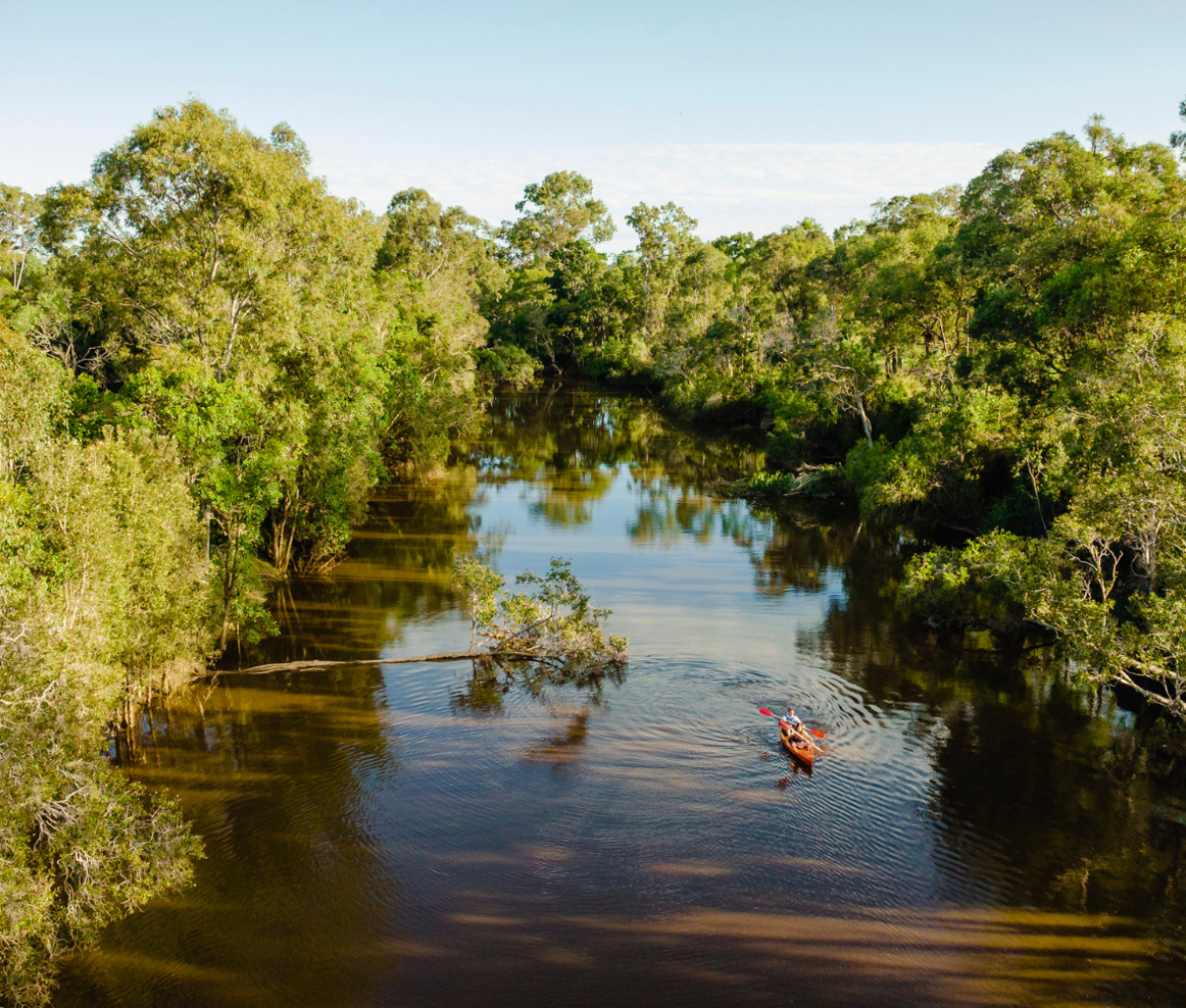 Kayaking on a stream in Splitter's Farm in Bundaberg