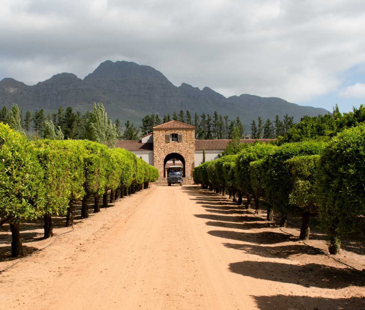 Stellenbosch Farm