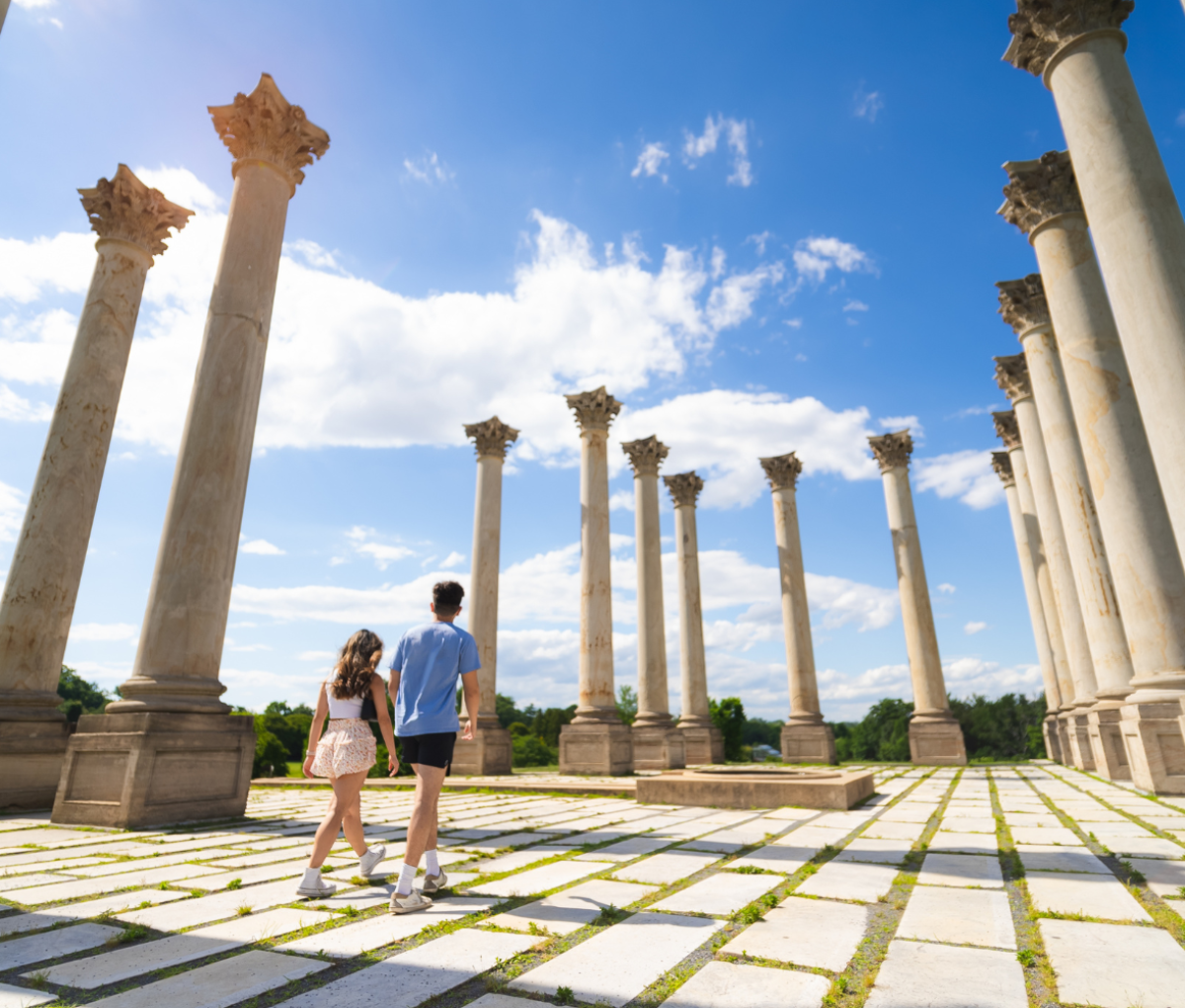 United States National Arboretum, Washington, DC