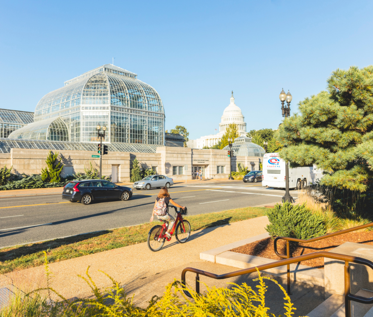 US Botanic Gardens, Washington, DC