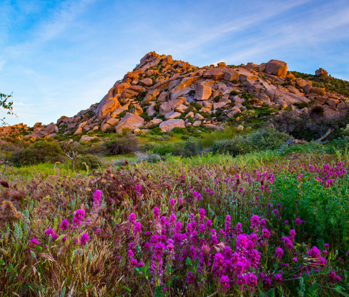 A hill in Scottsdale, Arizona